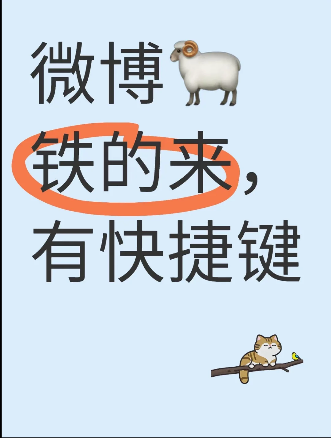 Wb🐏🐏🐏铁