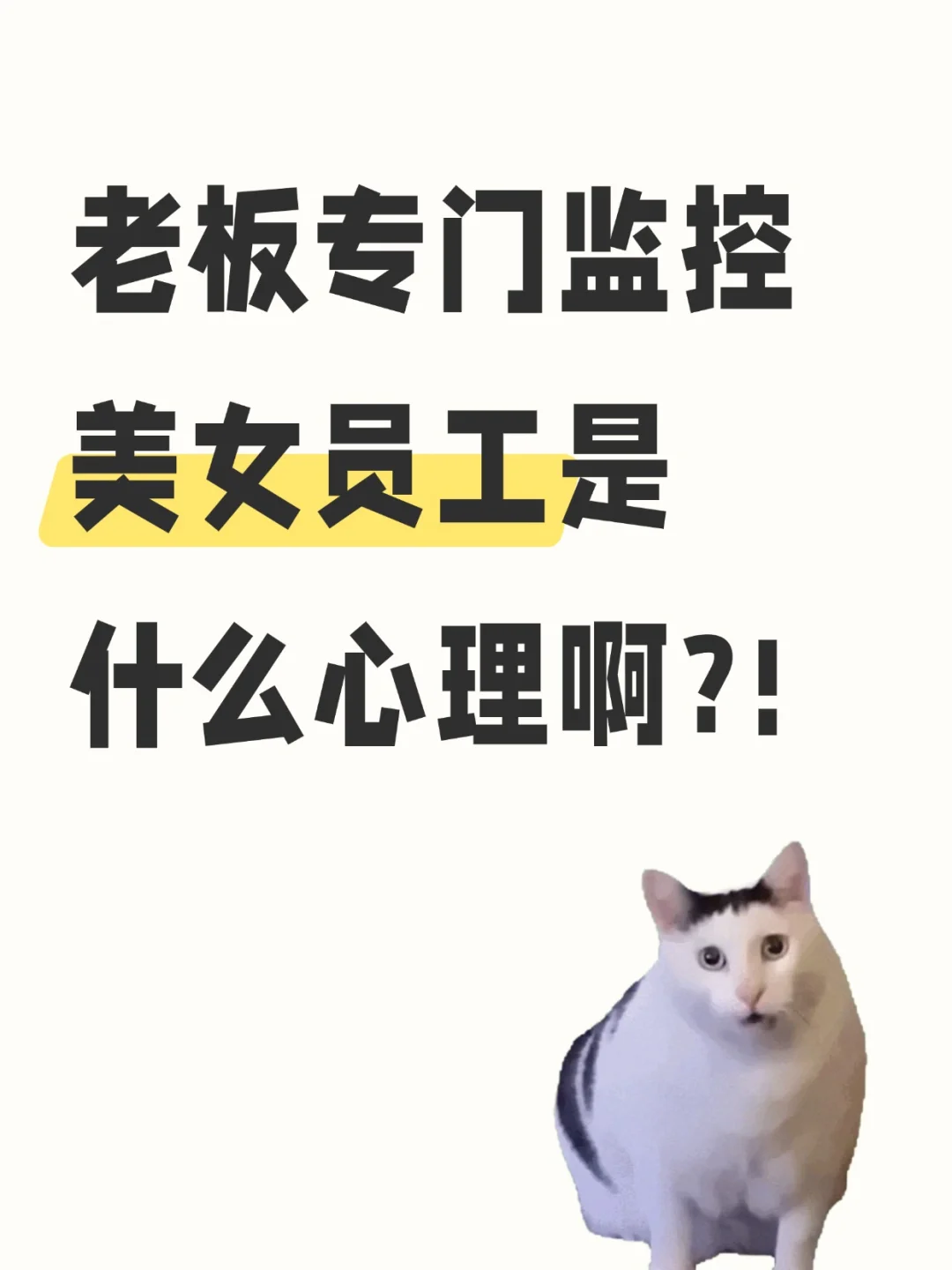 老板天天上班监控美女员工是什么心理啊😈
