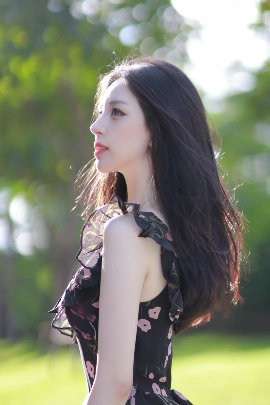 我的心借了你的光是明是暗