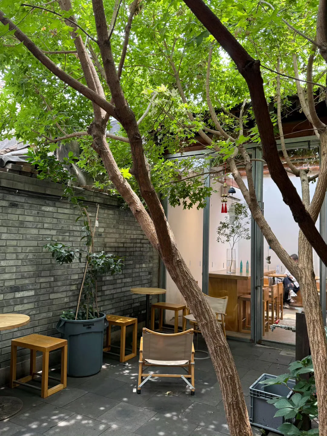 40+职场女高管的日常生活碎片、今日份的快乐