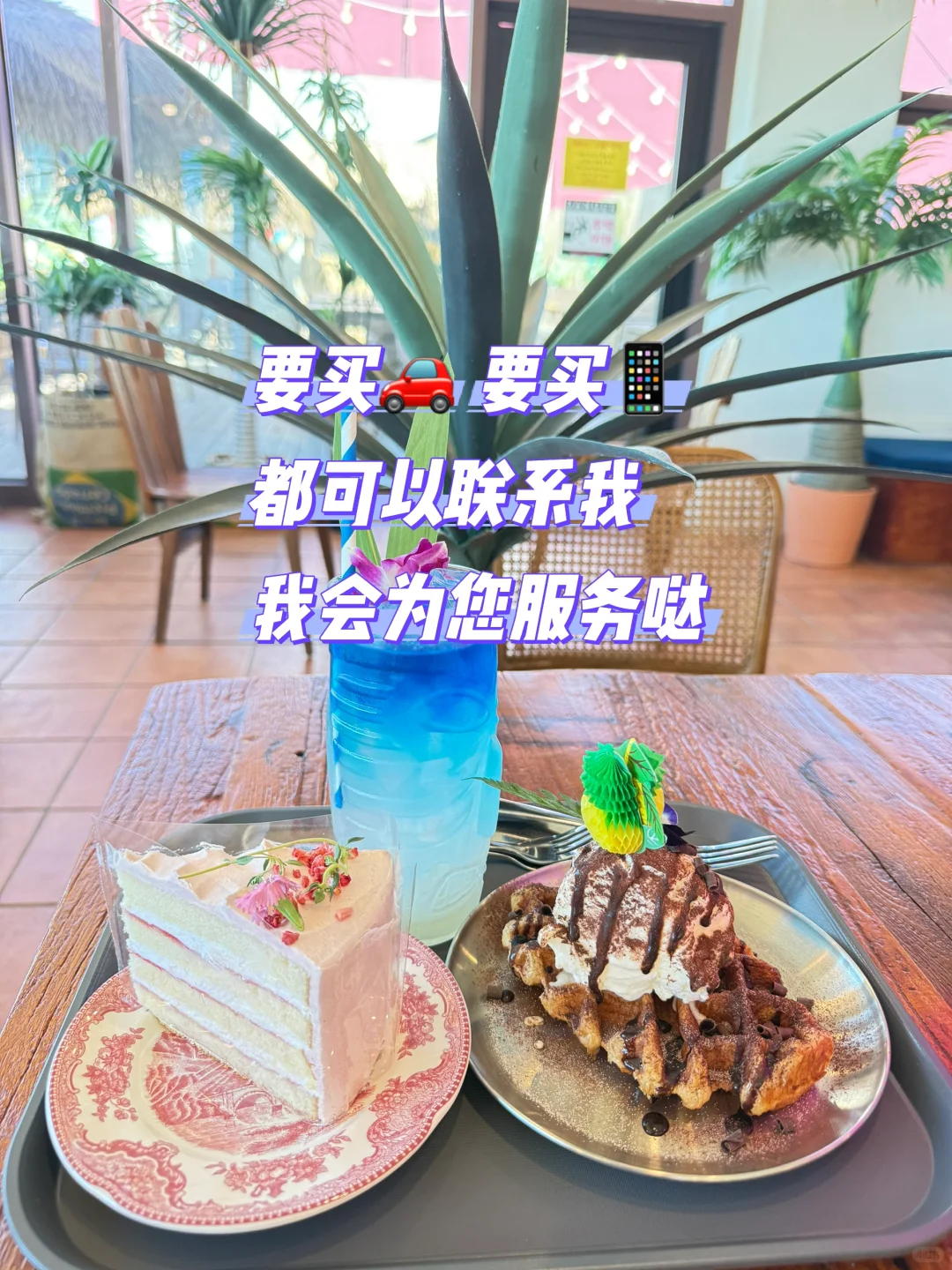 在韩的宝贝们