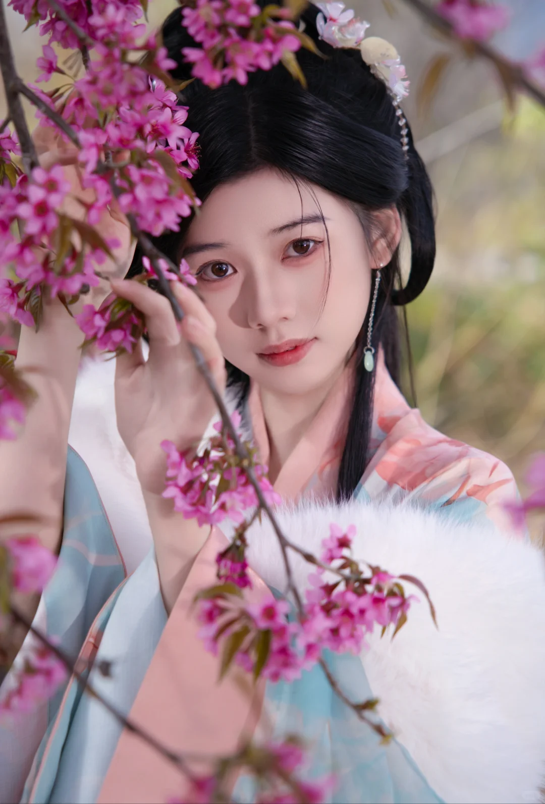 半世风霜，只等满山樱花！