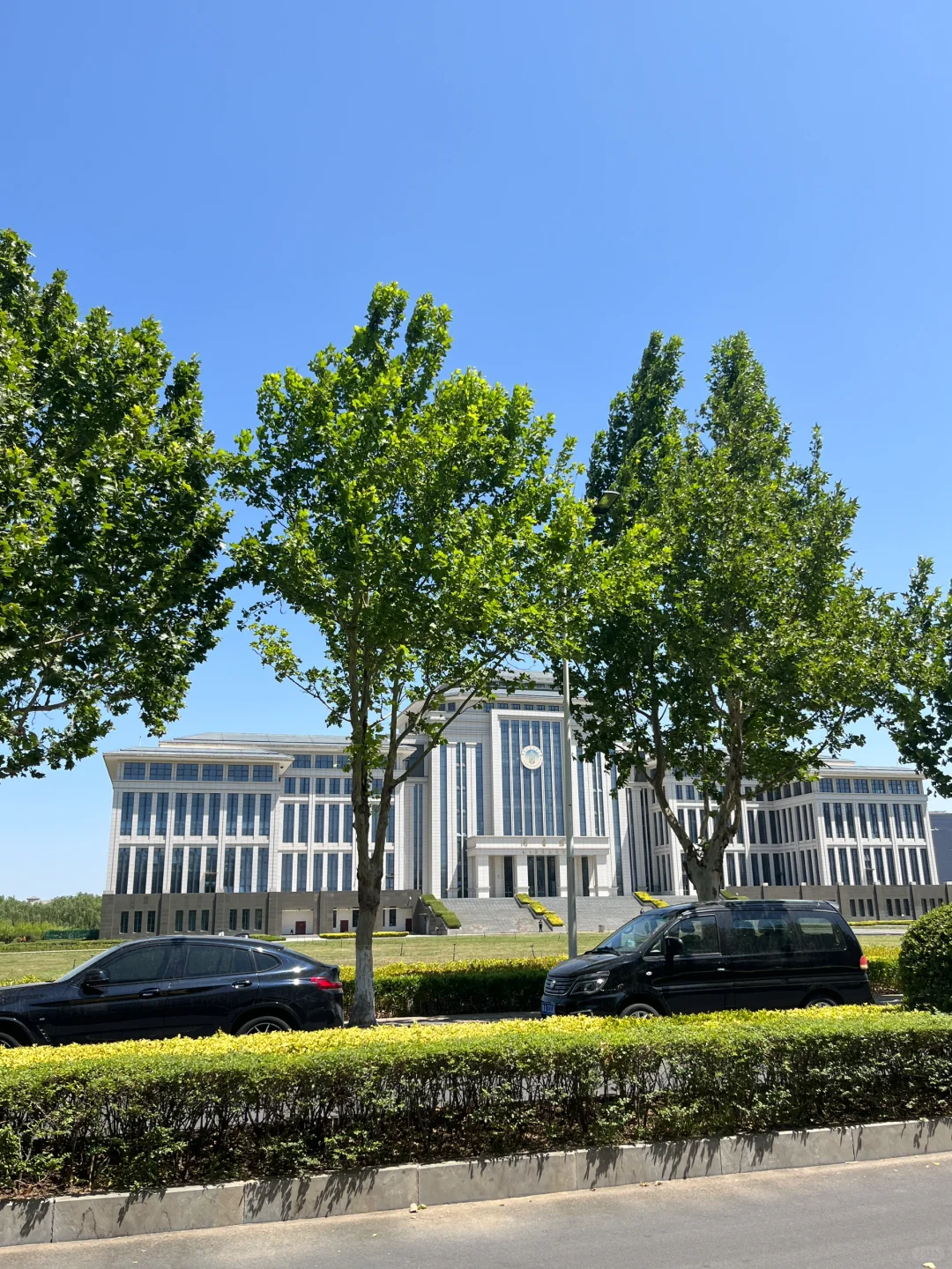 郑东新区自由泳