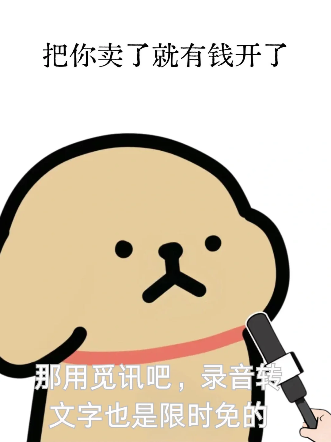 小鸡毛开会的时候也记不住开了啥