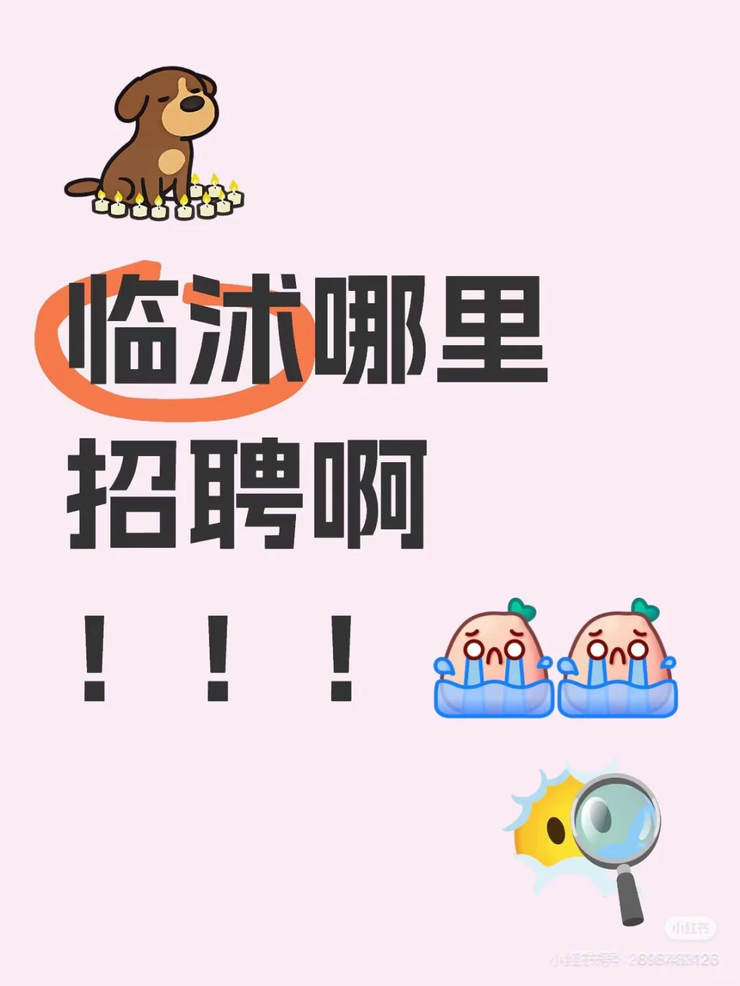 求职！女28，全职，长期