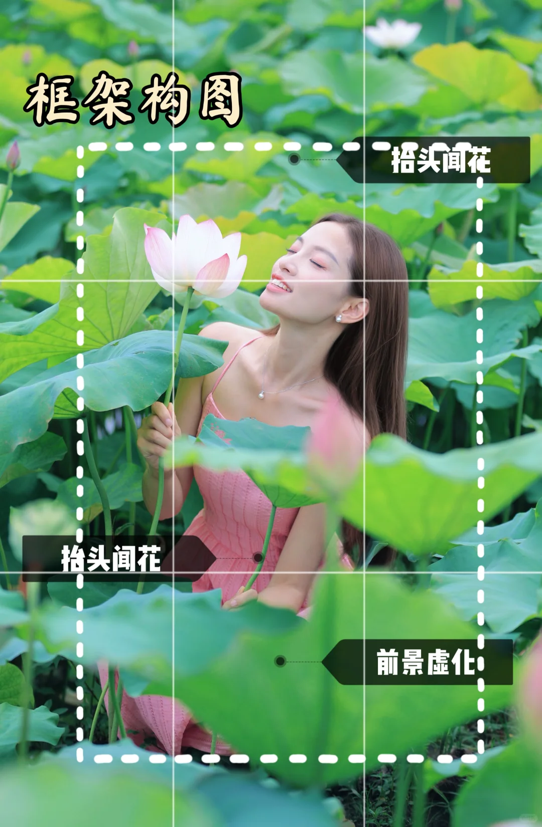 九宫格解密荷花怎么拍