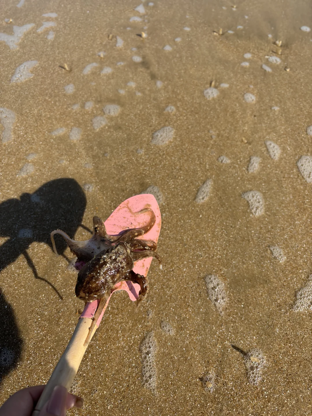 海边比基尼自拍分享