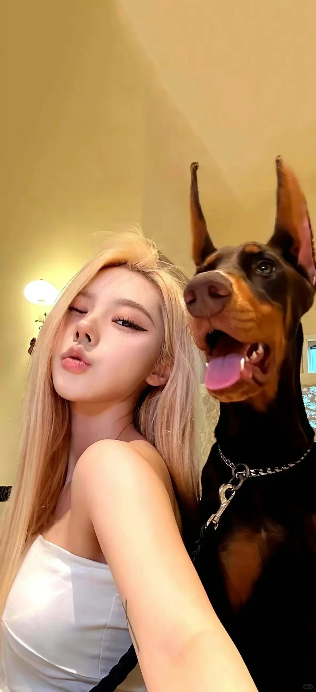 又来给你们更新美女壁纸啦～