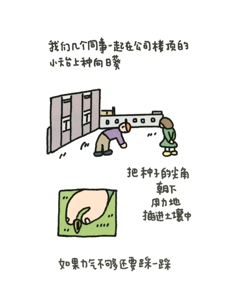 带壳的牡蛎是大人都心脏电子版
