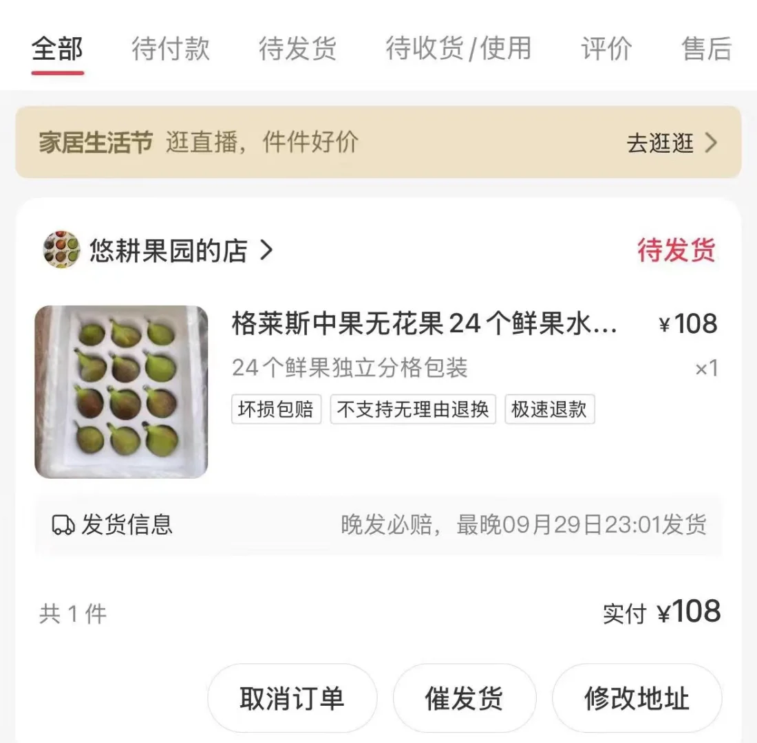 水果爱好者冲冲冲