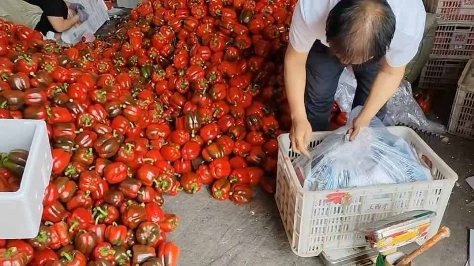 我爷说：你就11.9r➕顺丰冷链吧！比烂了强！