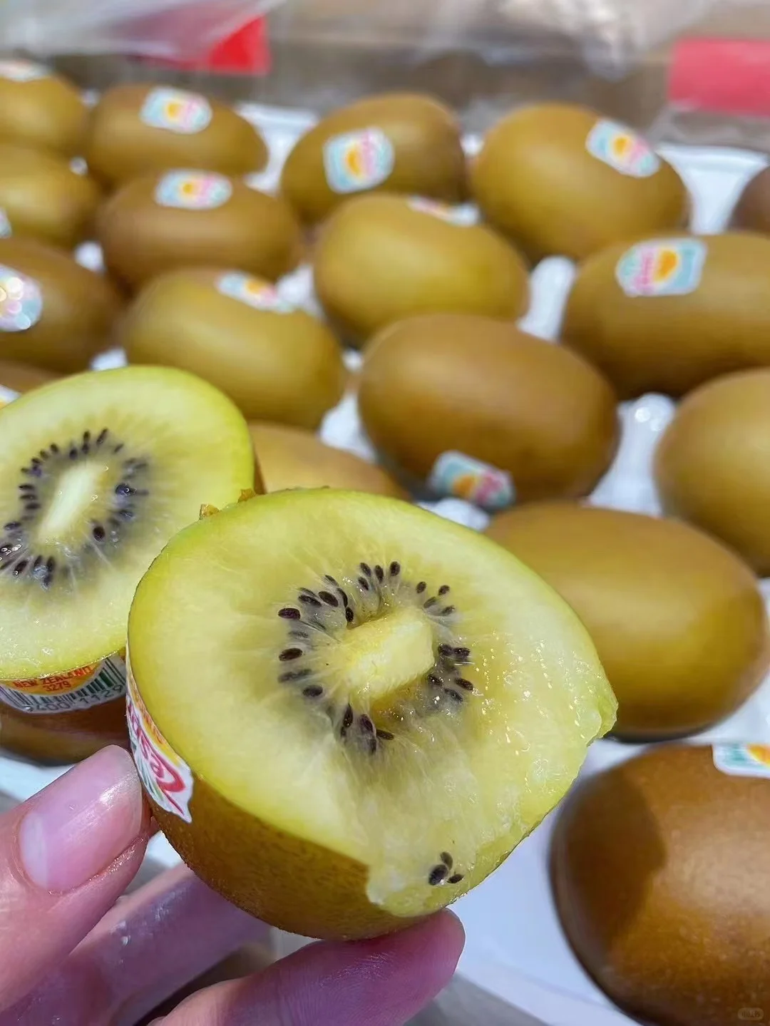 佳沛奇异果💛