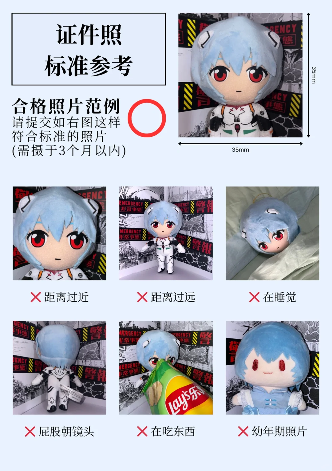 绒绒丽的证件照标准参考