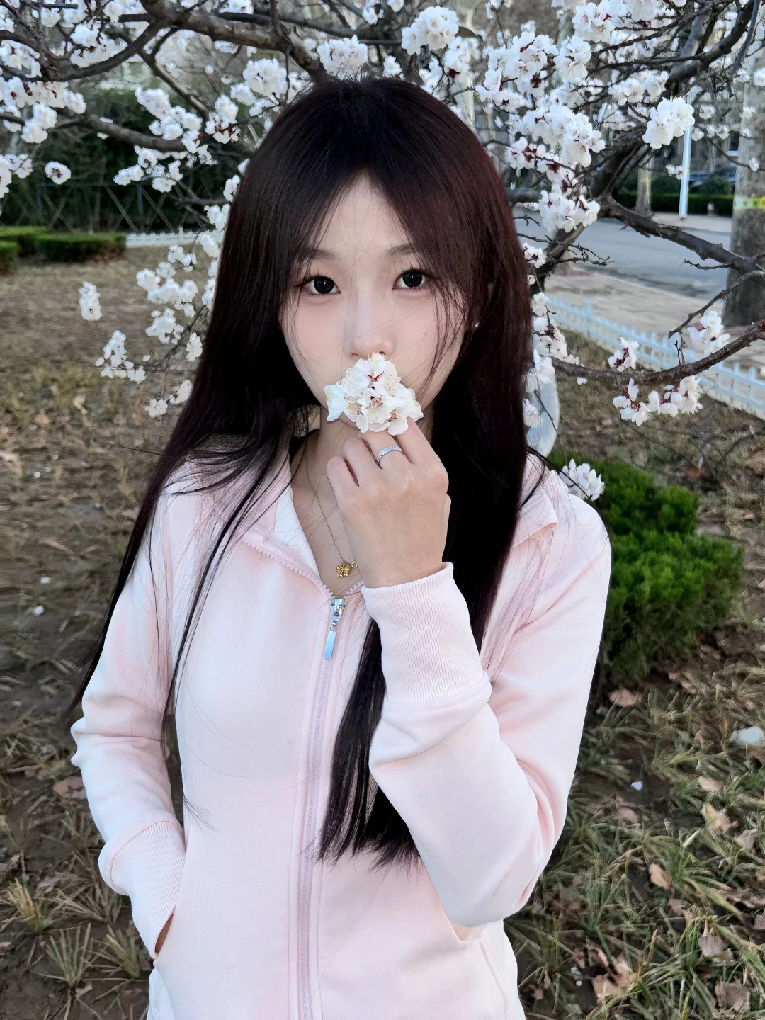大学美照