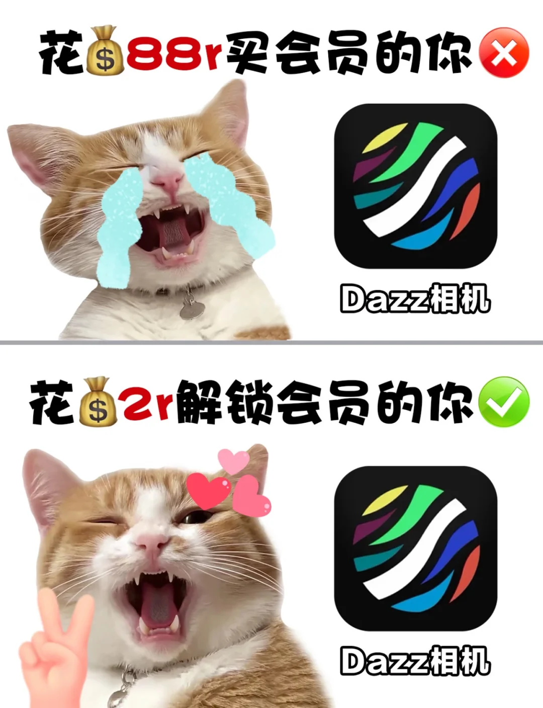 Dazz相机永久会员，免费用！