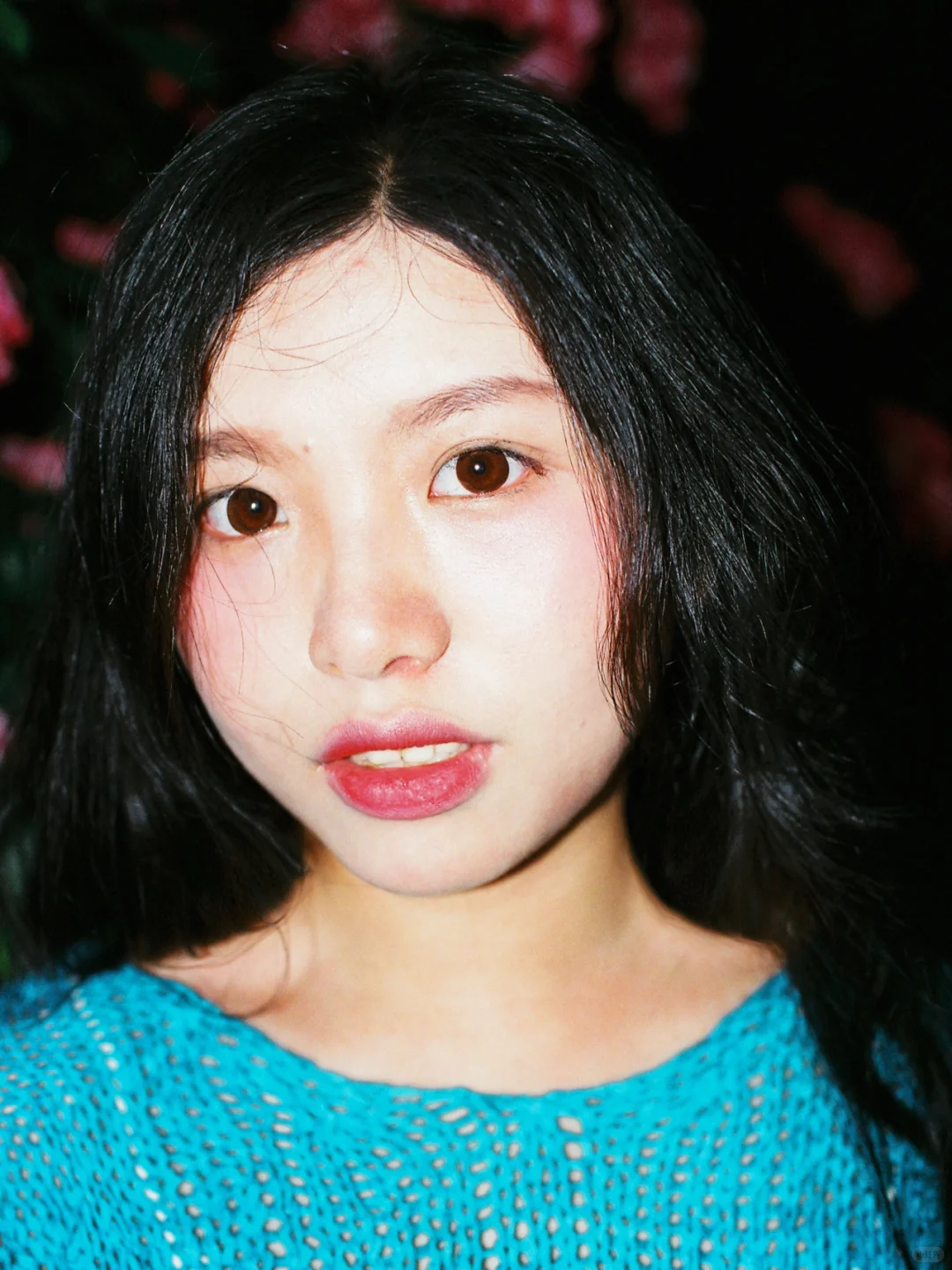 暗夜里的蔷薇🌺和闪光灯✨ 胶片日记|画报