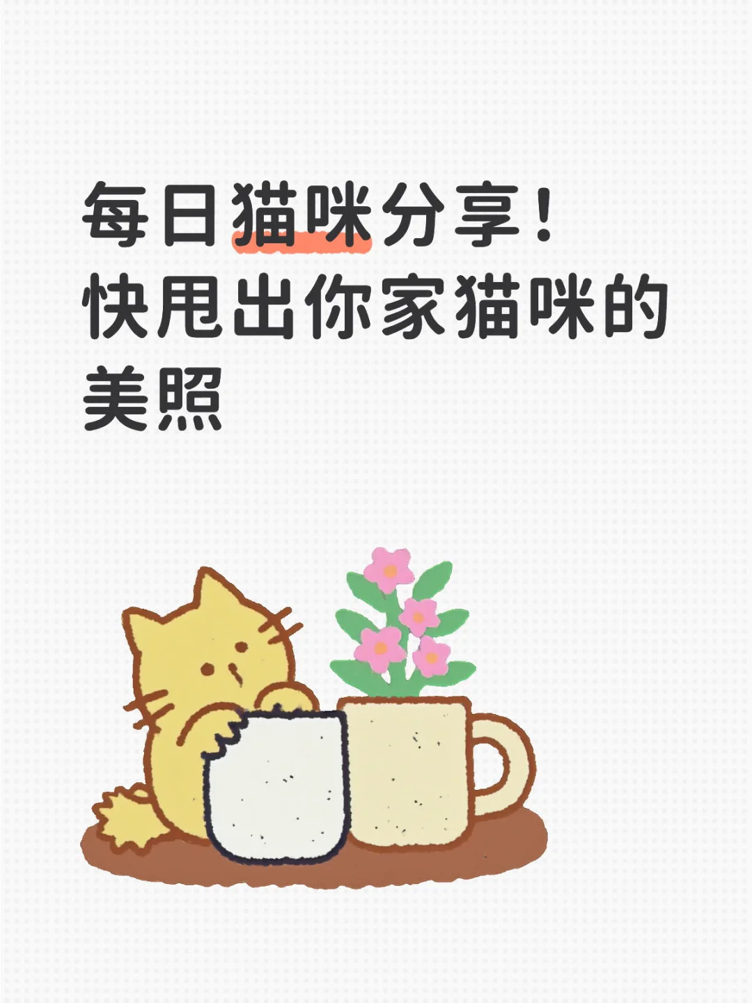 每日猫咪美照分享