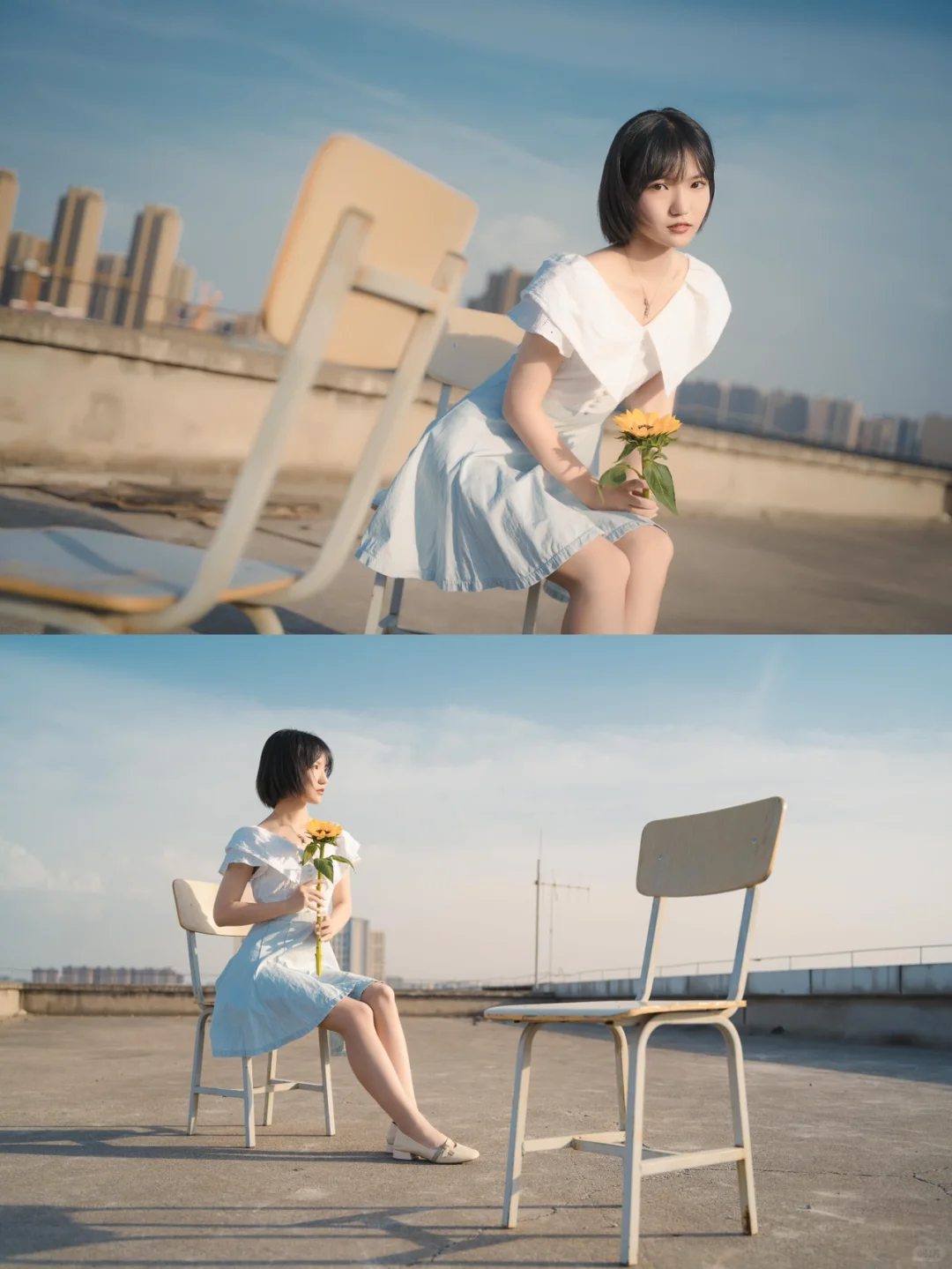 再见了“夏天小姐”🌻