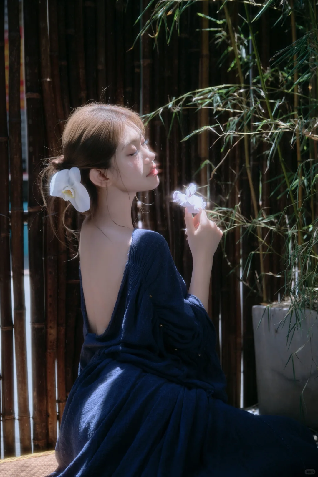 烟雨入江南🍃