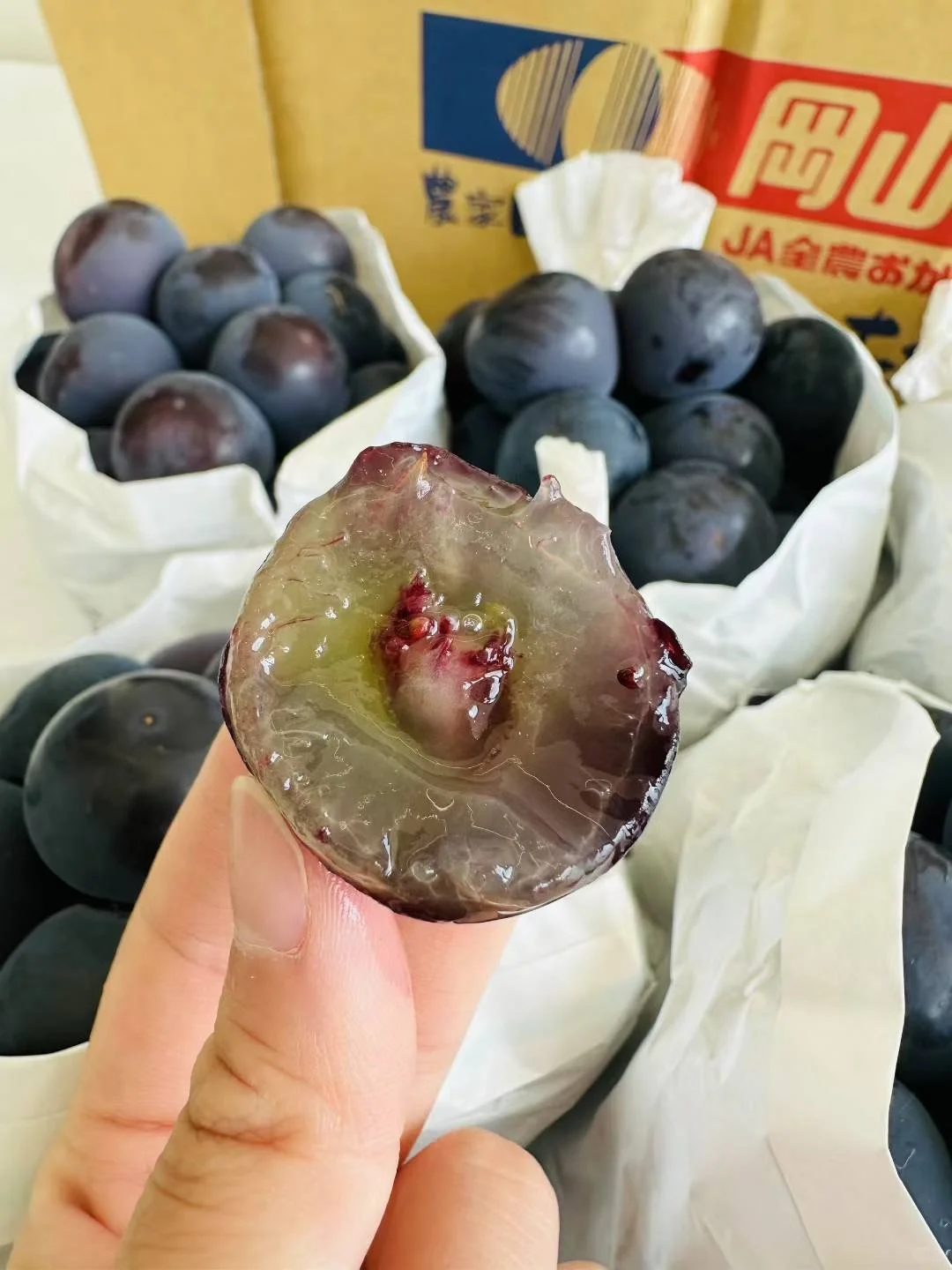 キャッツアイ巨峰ぶどう百年经典
