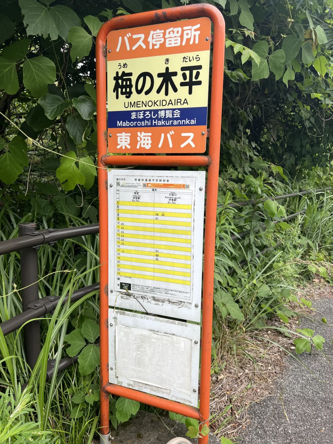 快来参拜美脚神社！！！🦵🦵🦵