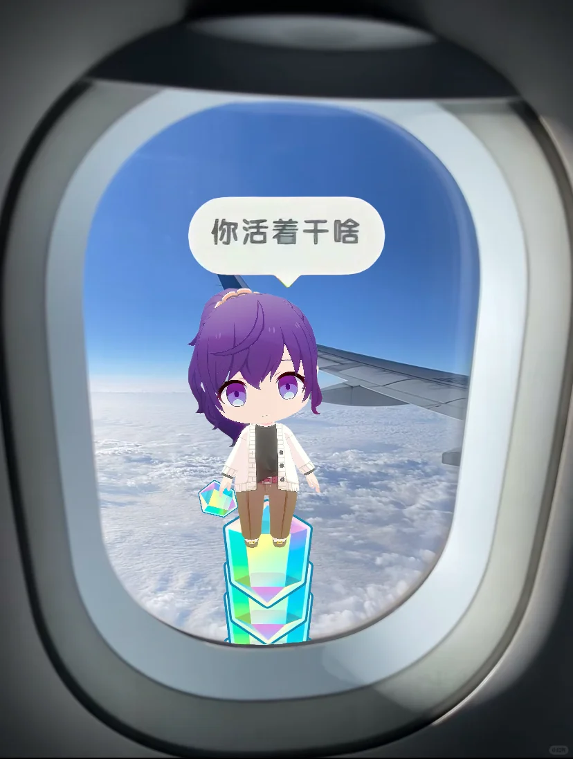 给我也整张机票呗