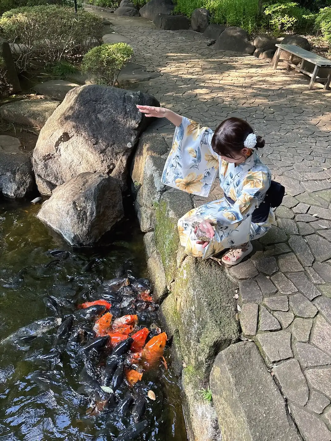 和服遇上锦鲤池🌸