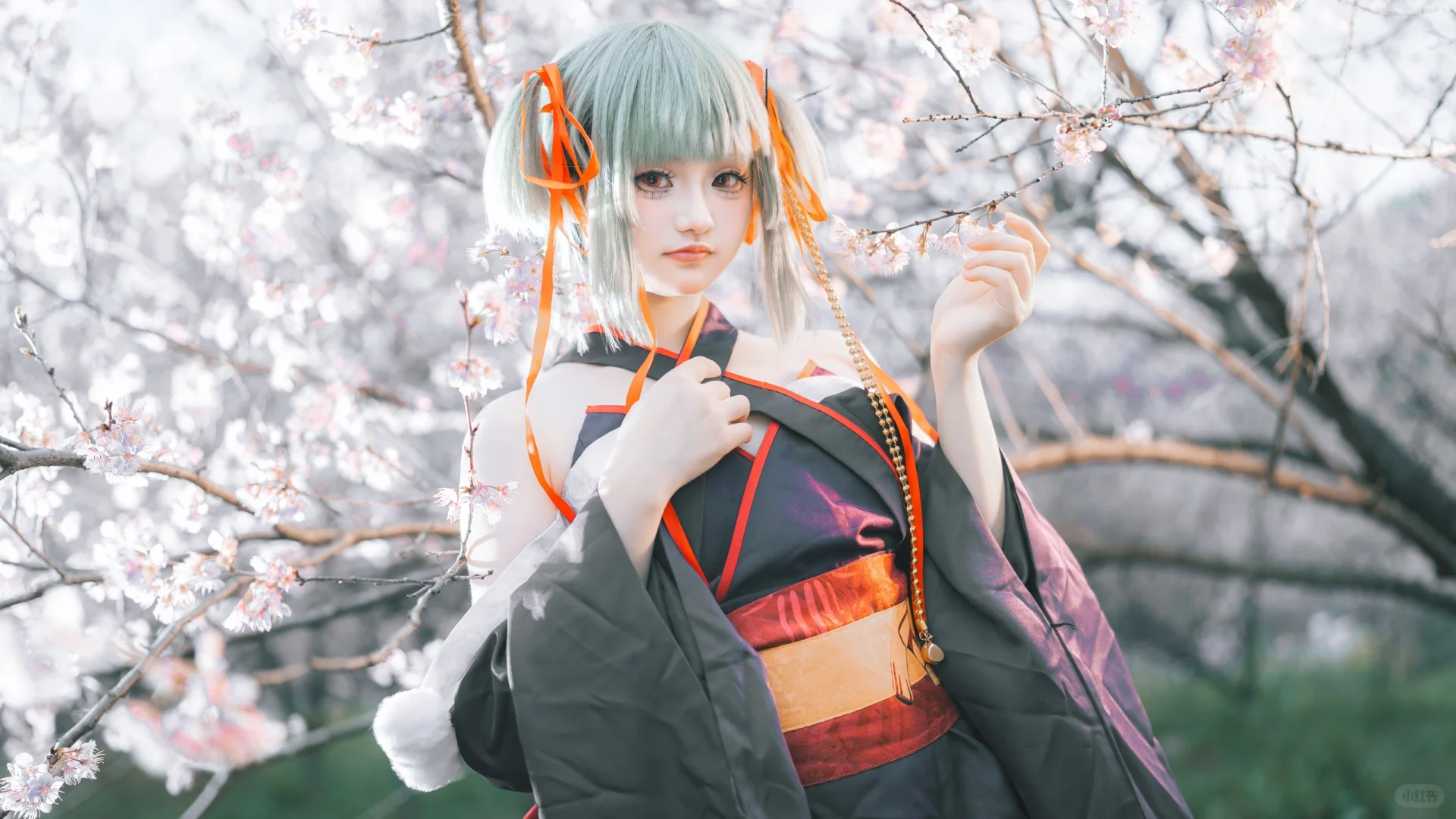 “和本座一起去看樱花！”