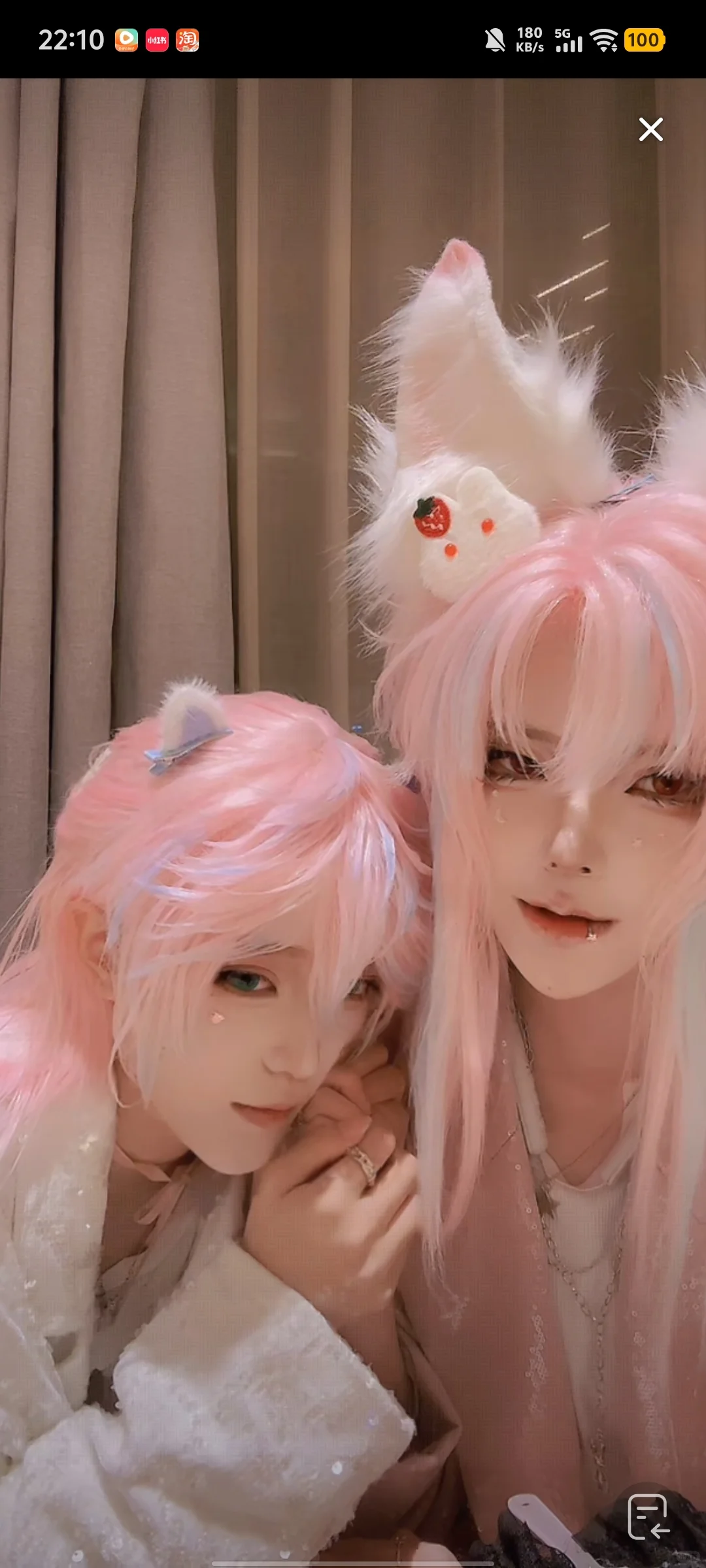 喜欢豹豹猫猫