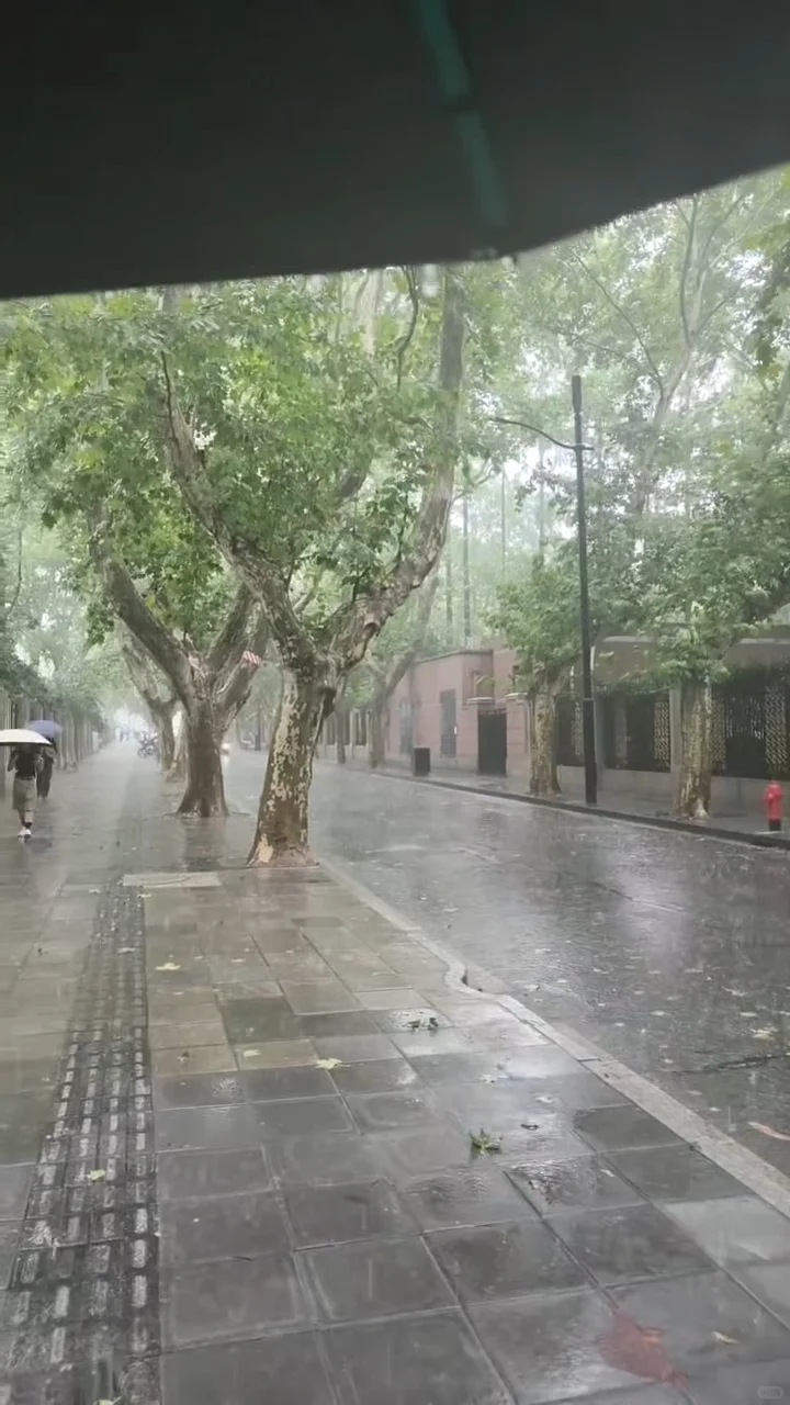 台风天上班真的是太涩晴了