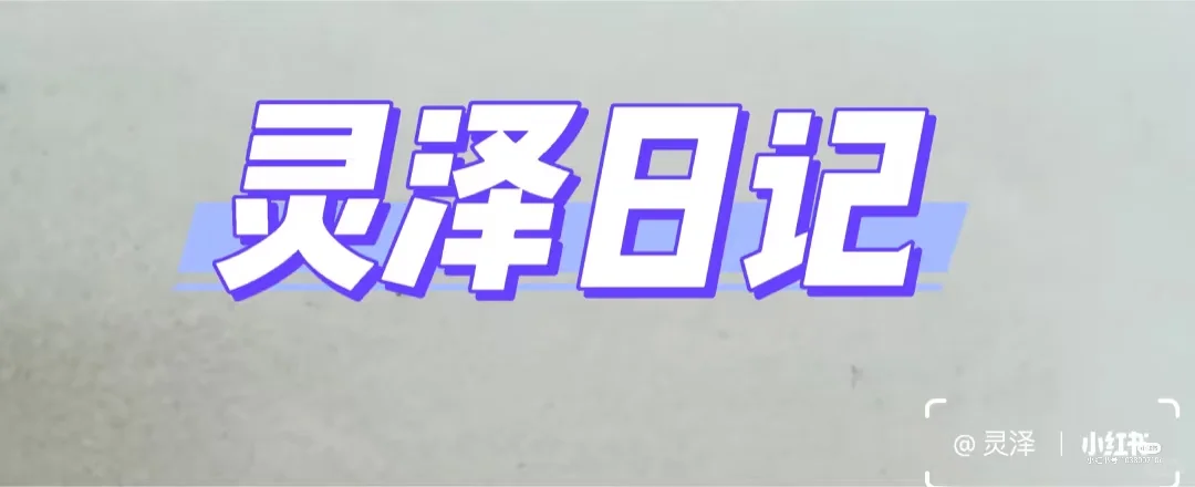 灵泽日记11