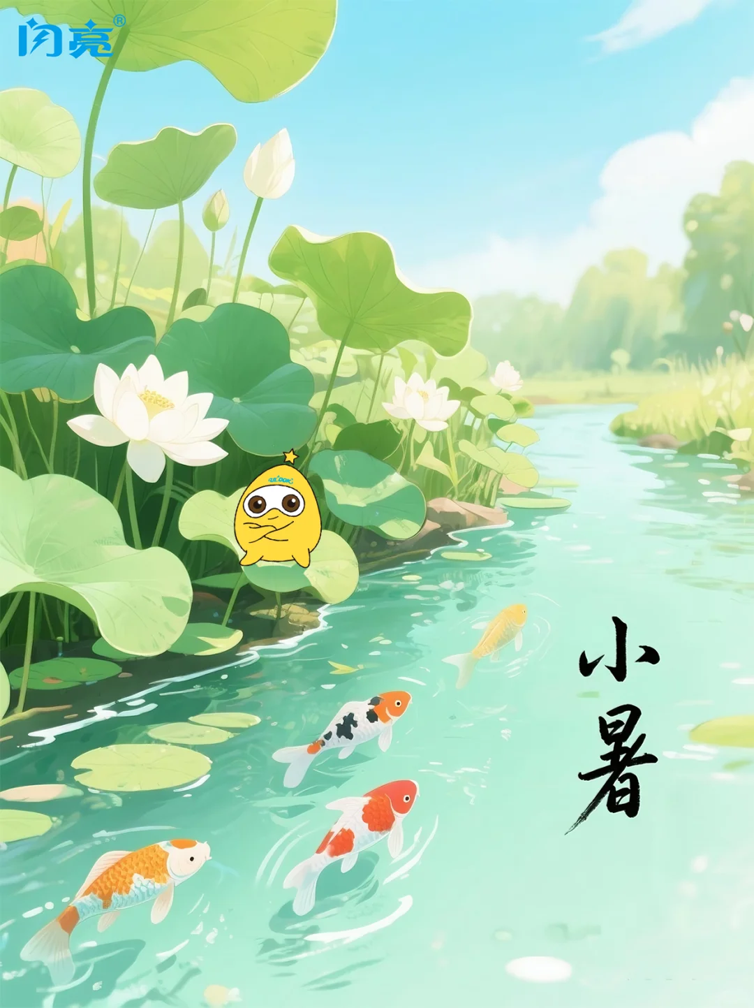 暑气蒸腾时，予眼一帘清凉✨