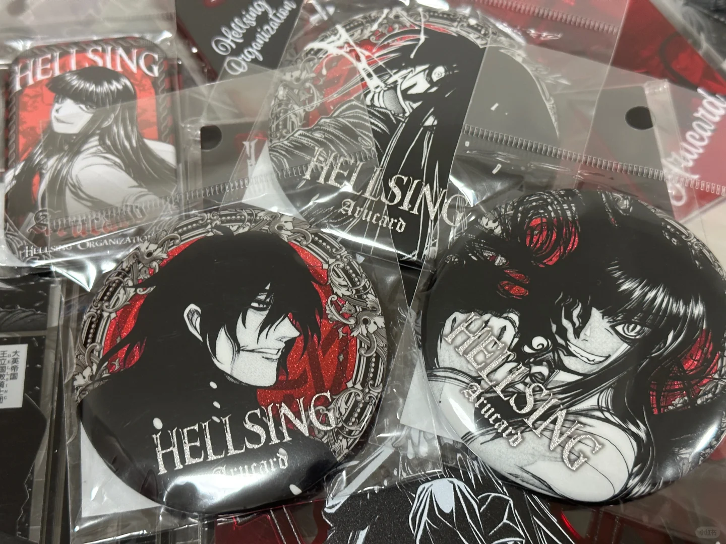 国现hellsing