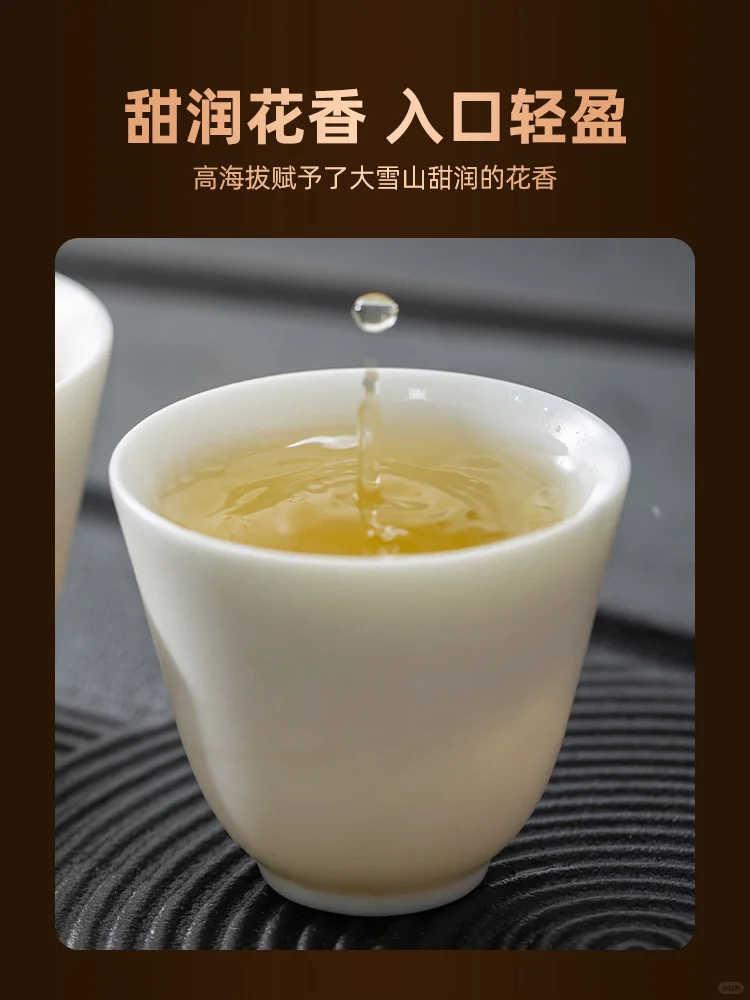 好茶推荐之 2023年寻春大雪山早春古树