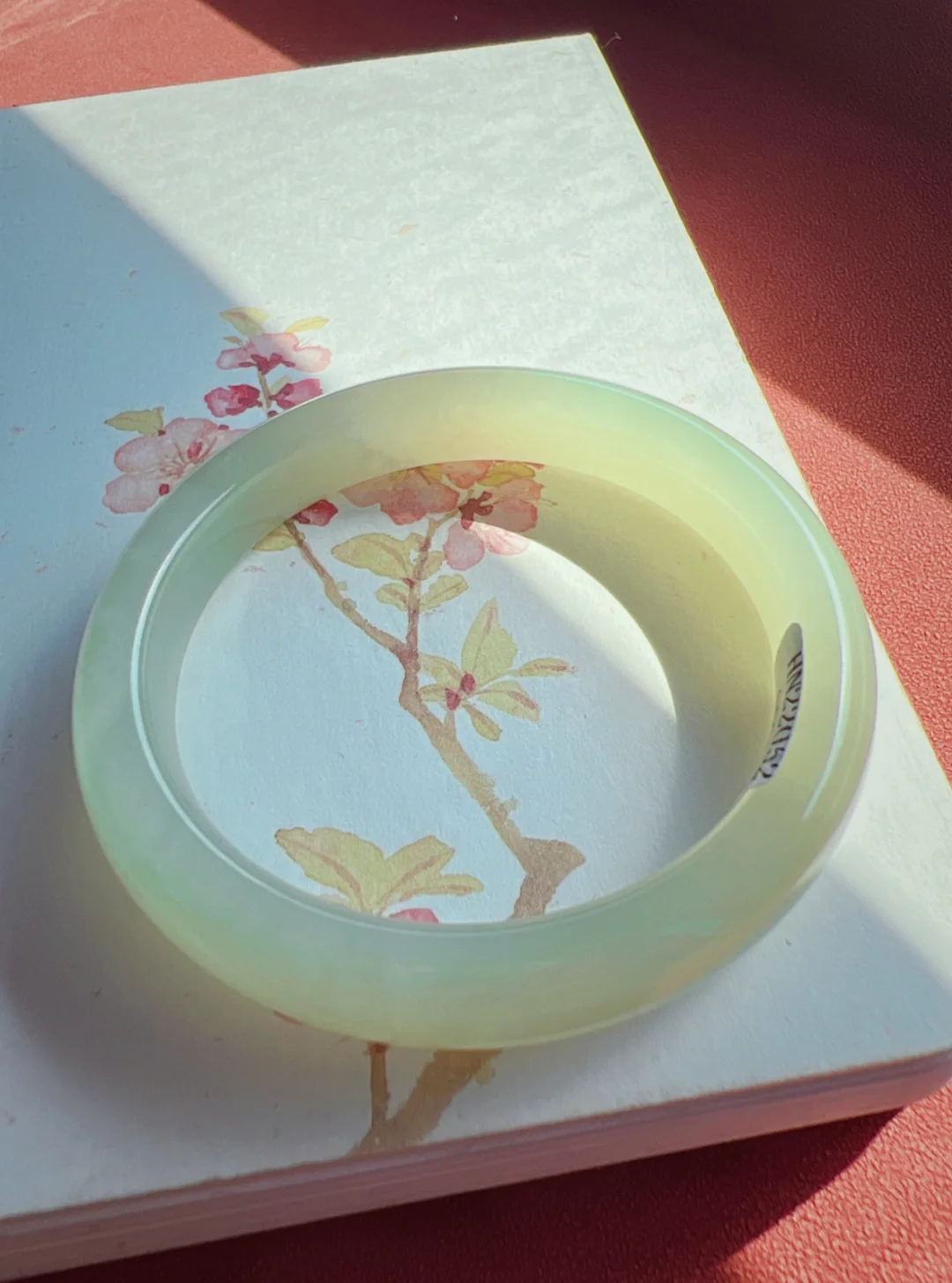忽而入夏，人间晚晴
