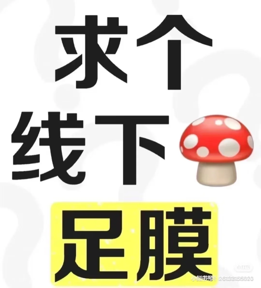 美足足膜