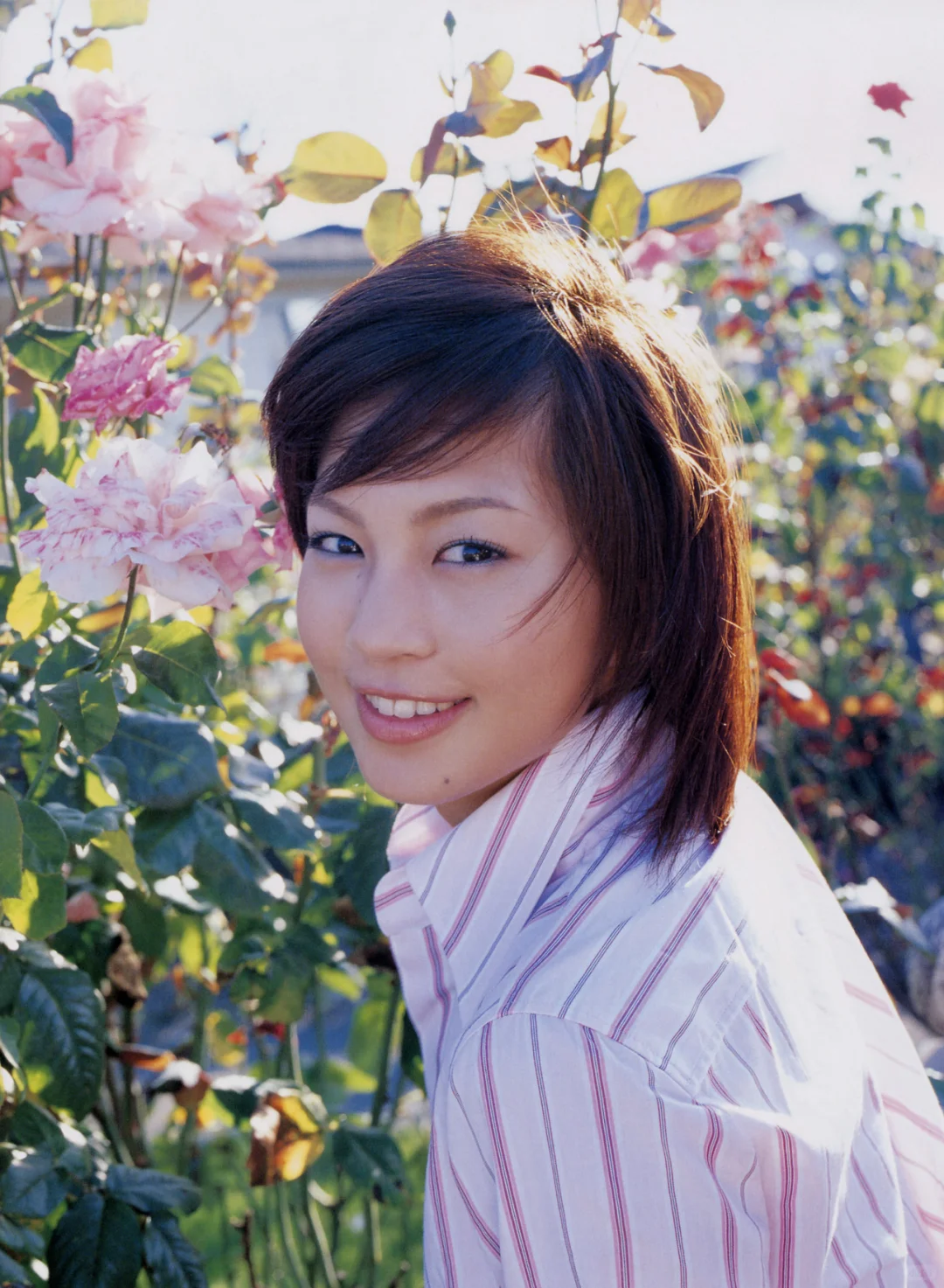 安田美沙子