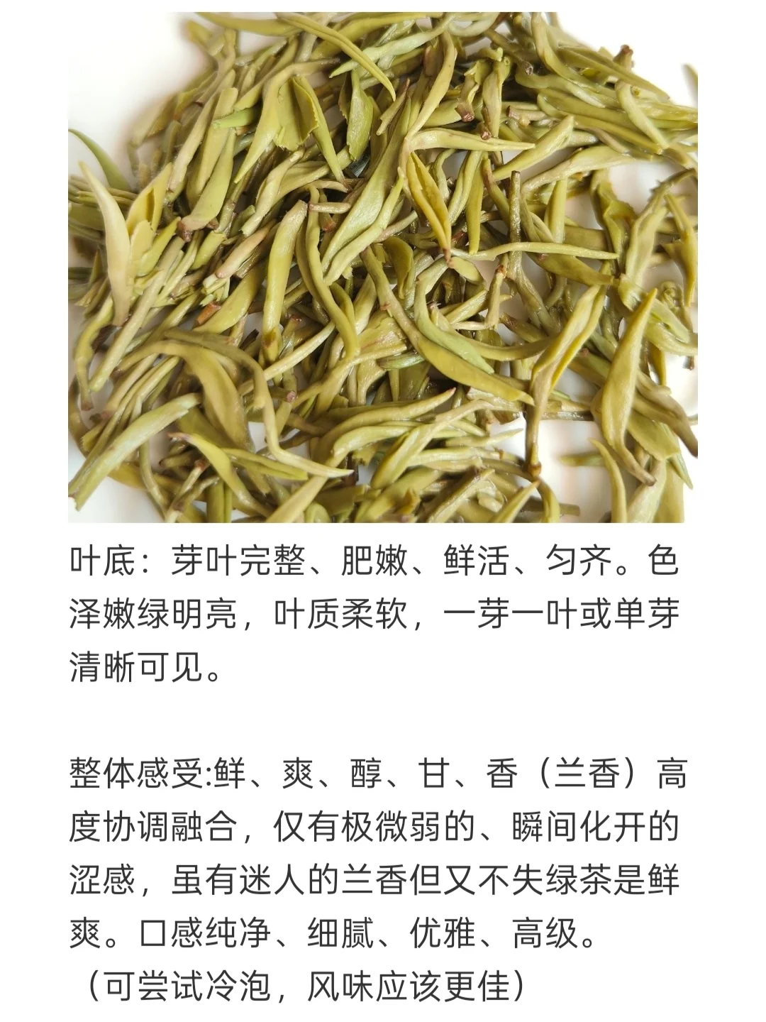 救命！这口兰香甘露，喝到了整个春天！