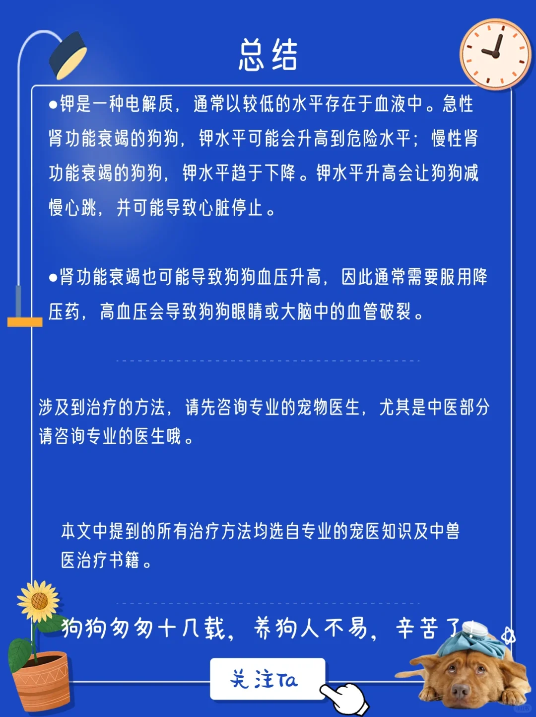 肾衰狗狗🐶较全面的中西药的治疗方法介绍