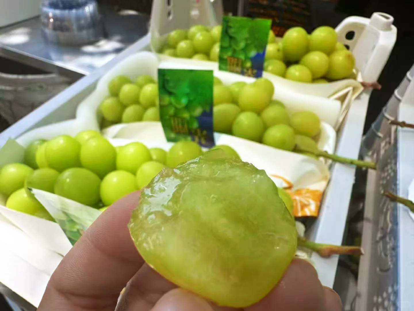 不是所有青葡萄，都配叫阳光玫瑰🍇