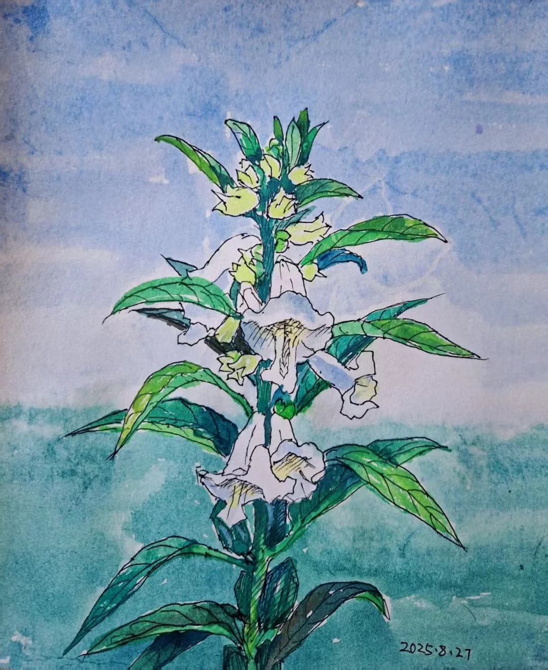 旷野里的无人小庙