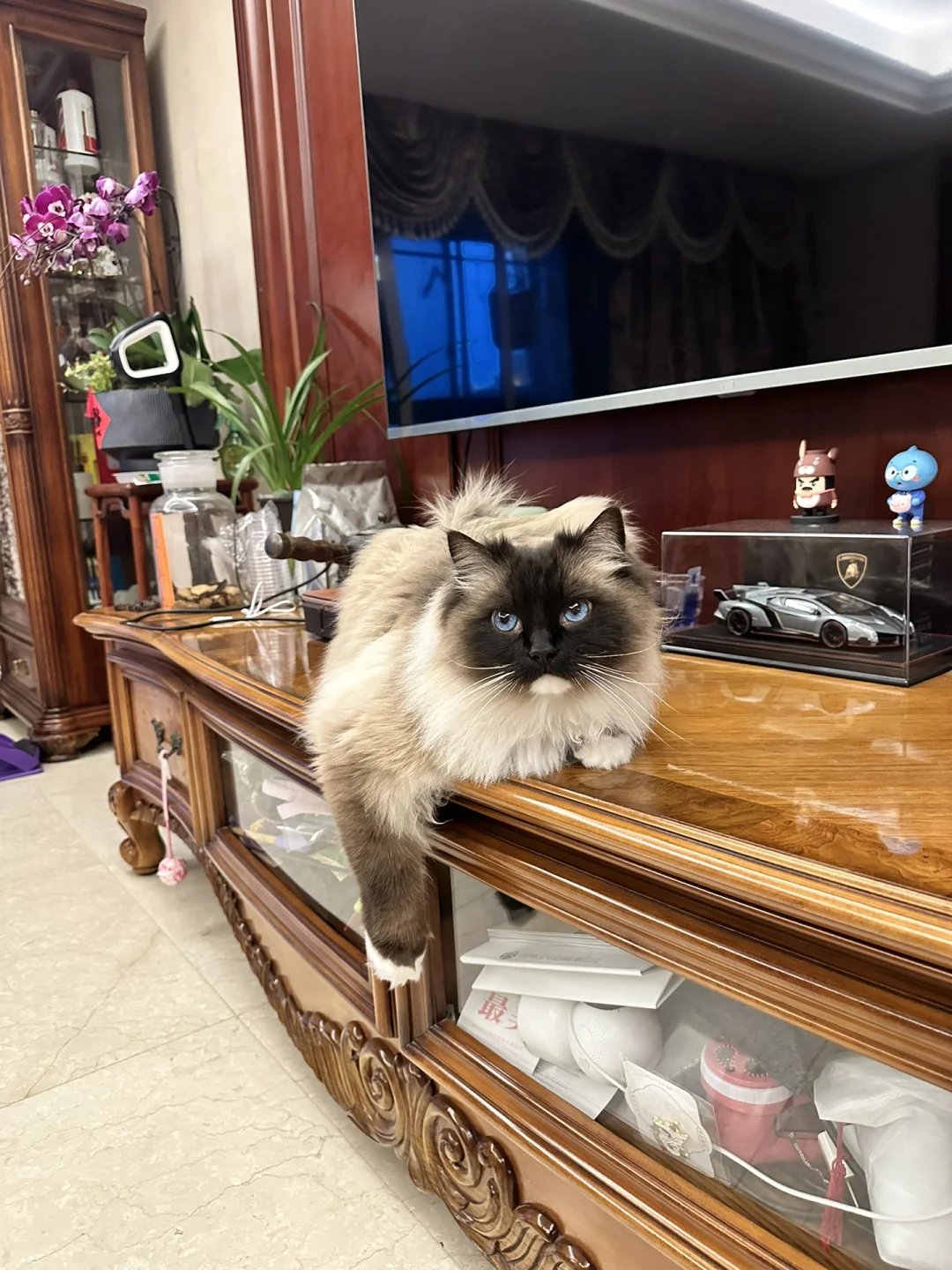 脚控的进来