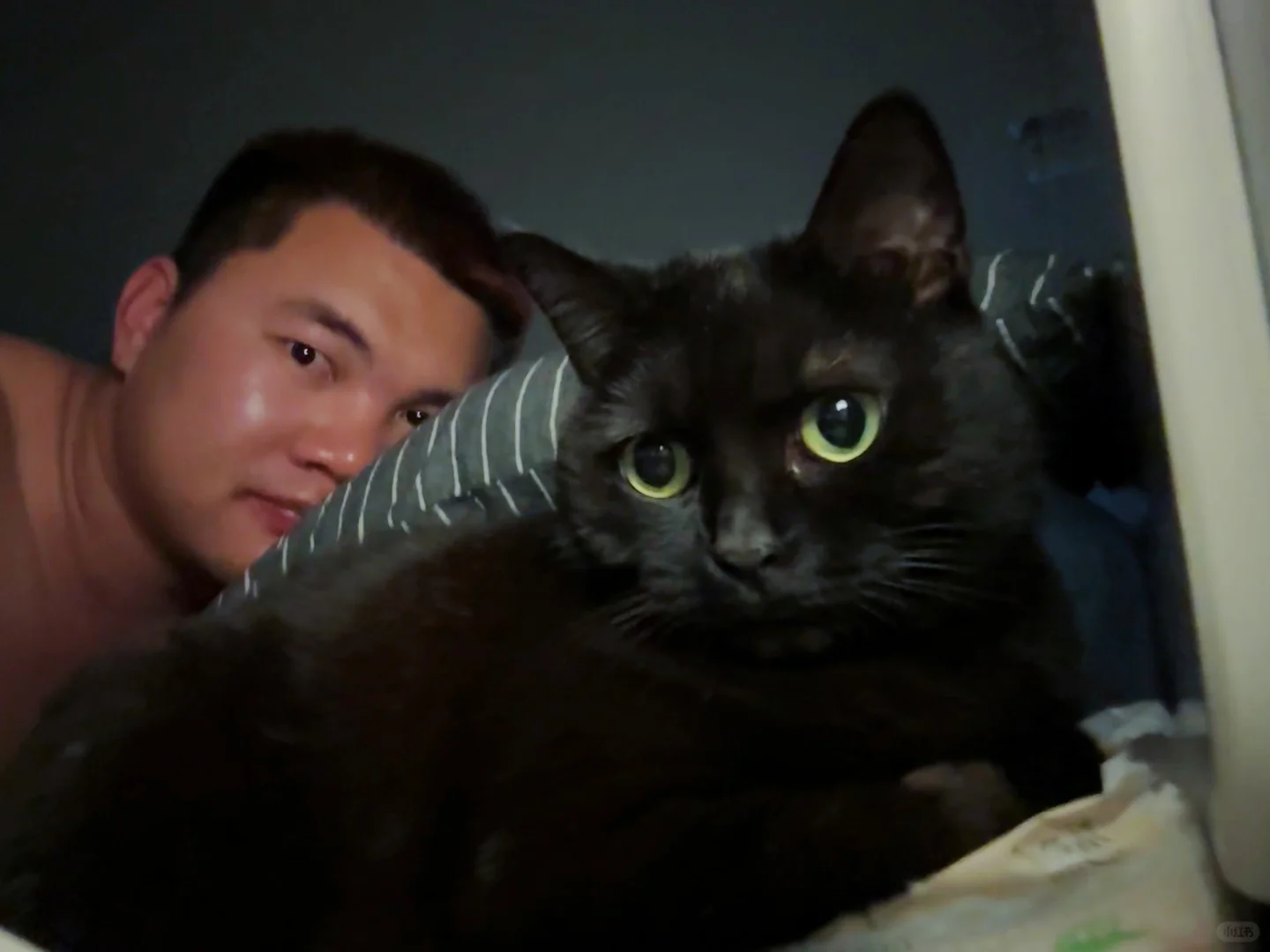 🐾呆呆的私房照｜小黑猫的治愈魔法✨
