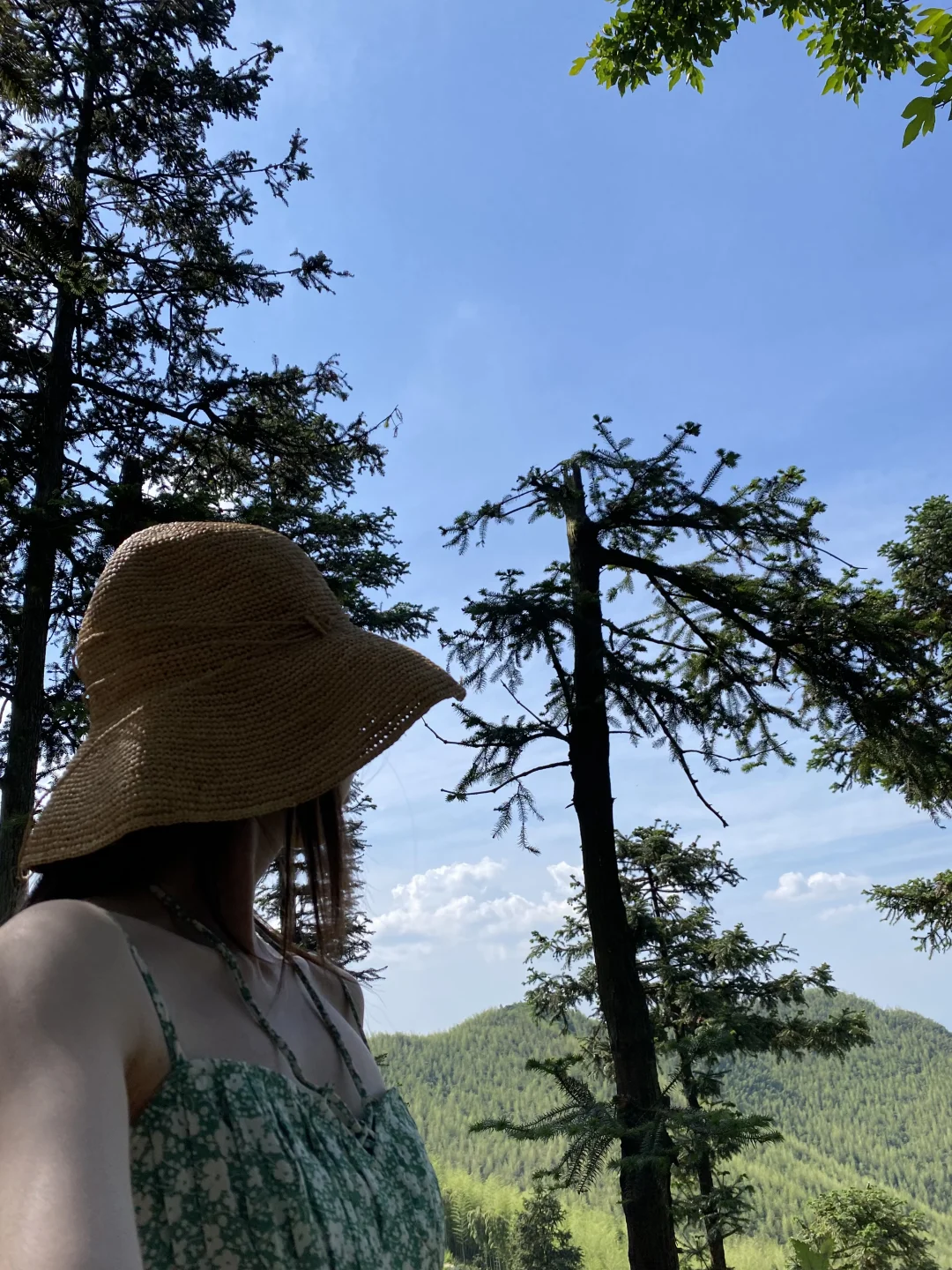 夏日清凉感🧚🏻
