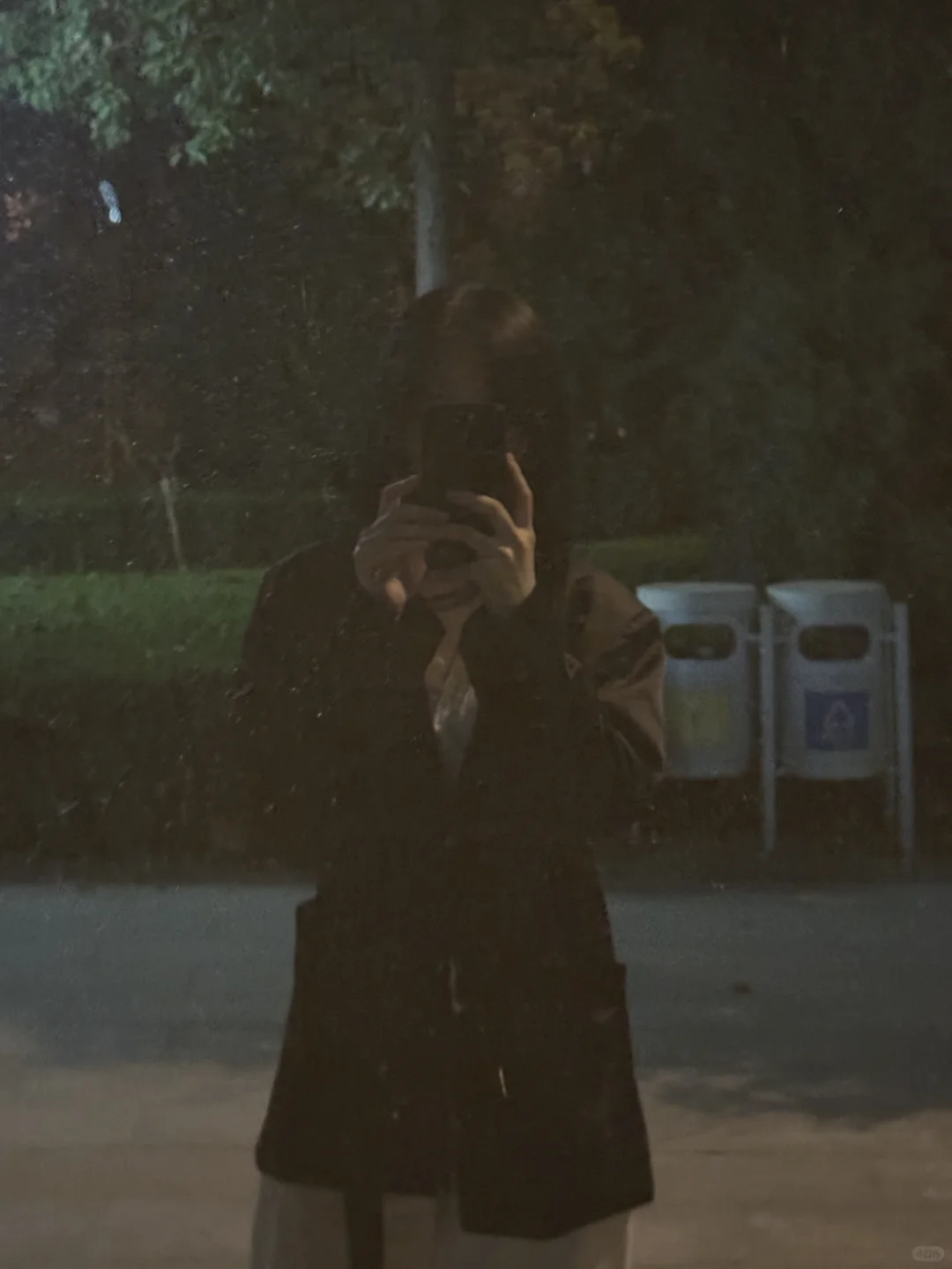 是年上是姐姐le