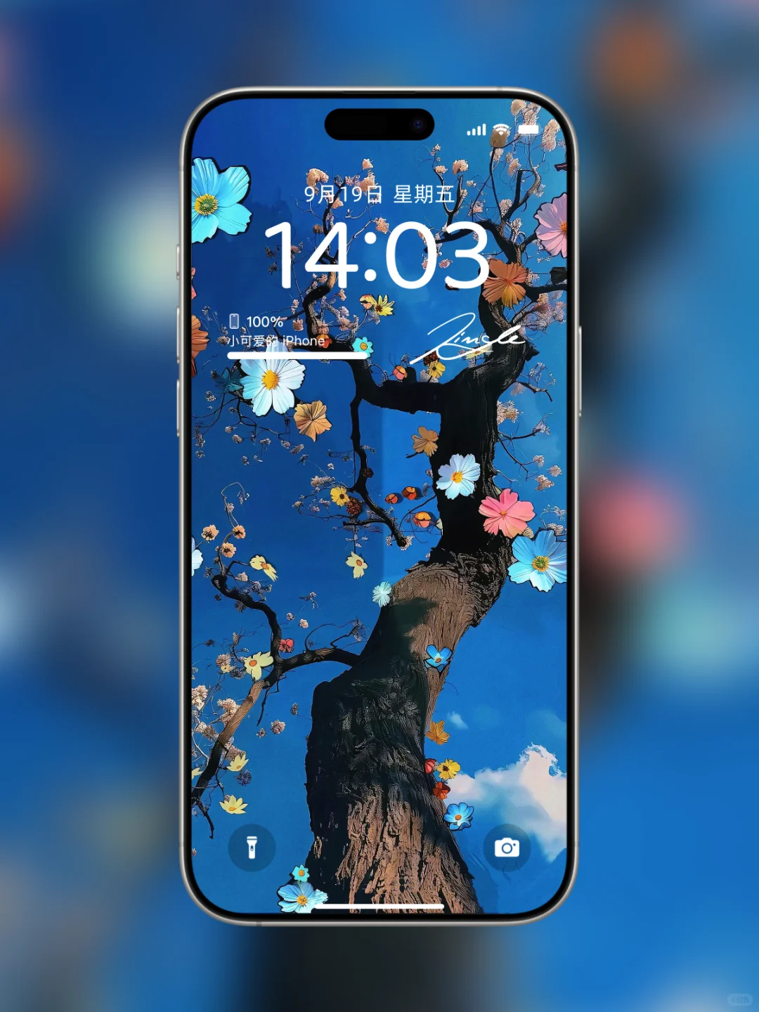 手机壁纸｜“樱花树下，你是我最美的风景”🌸