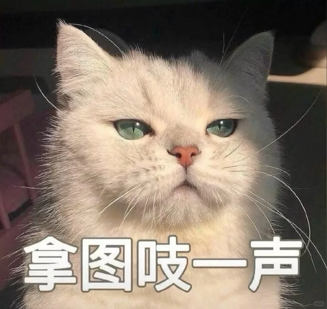 YH壁纸分享—高级感iPhone壁纸