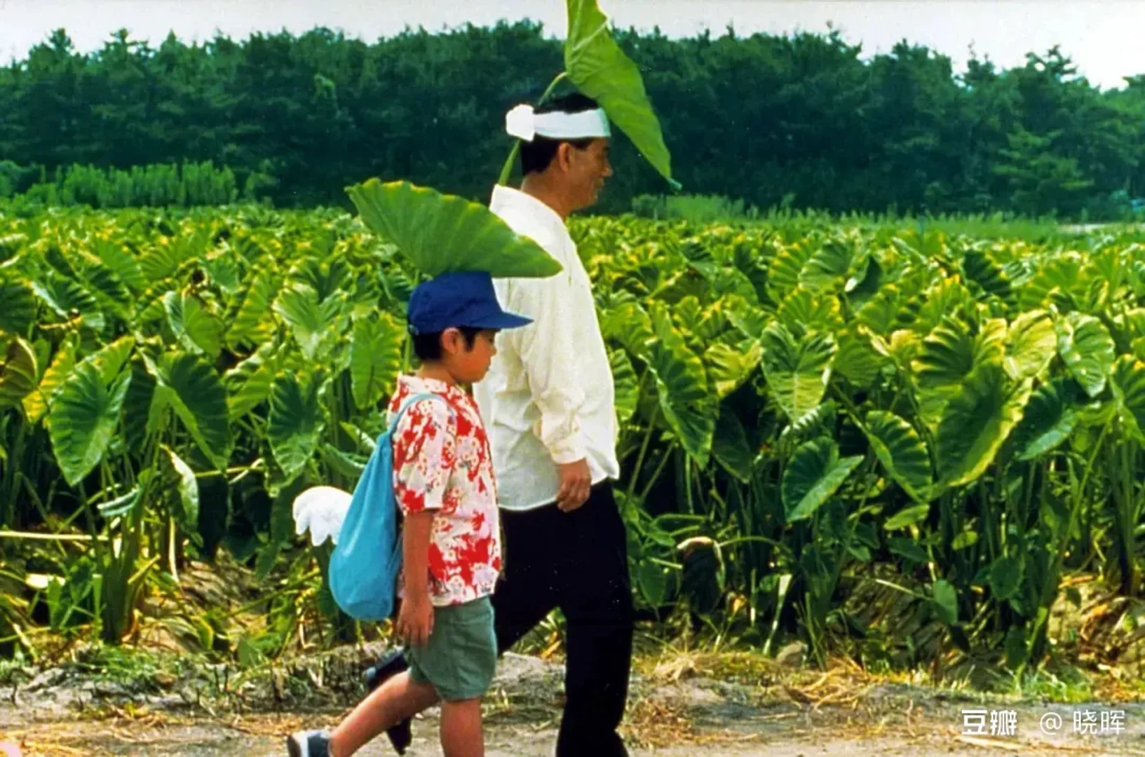 《兰香缘》我认为写得很好，烂🥒男主从良记。