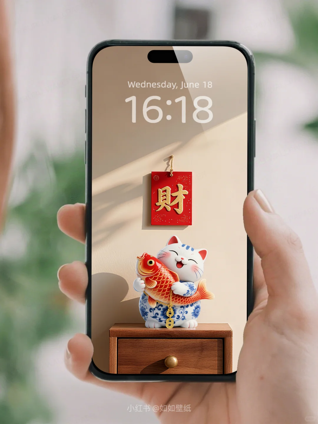 财猫抱鲤 I 手机壁纸040