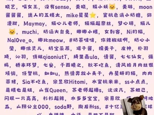 电鸽 岛遇秘语空间